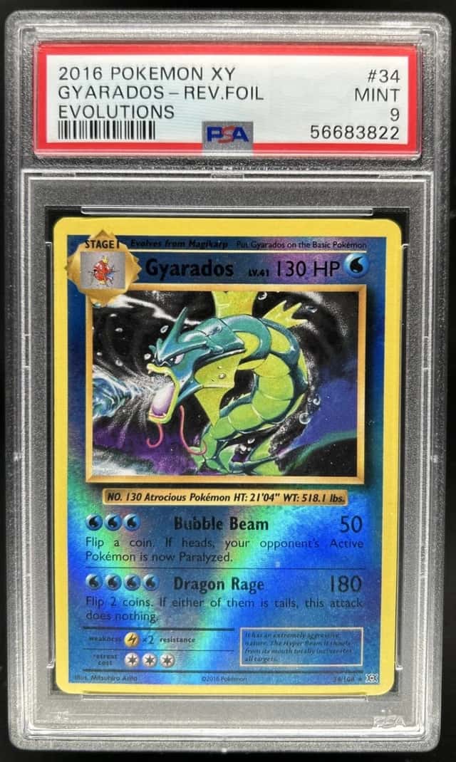 Gyarados