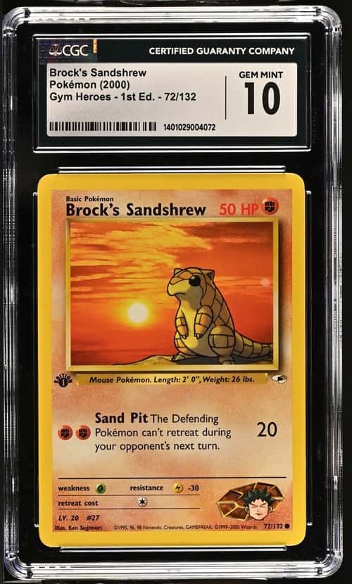 Brock's Sandshrew
