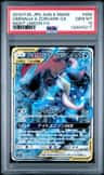 Greninja & Zoroark Gx
