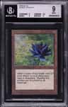 Black Lotus