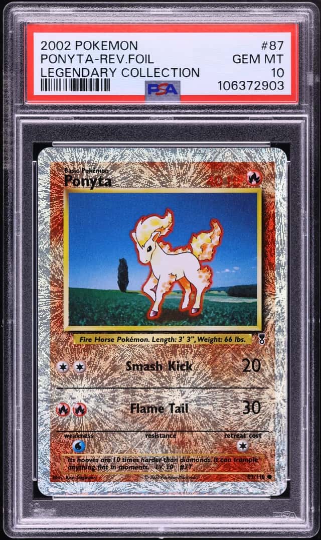 Ponyta