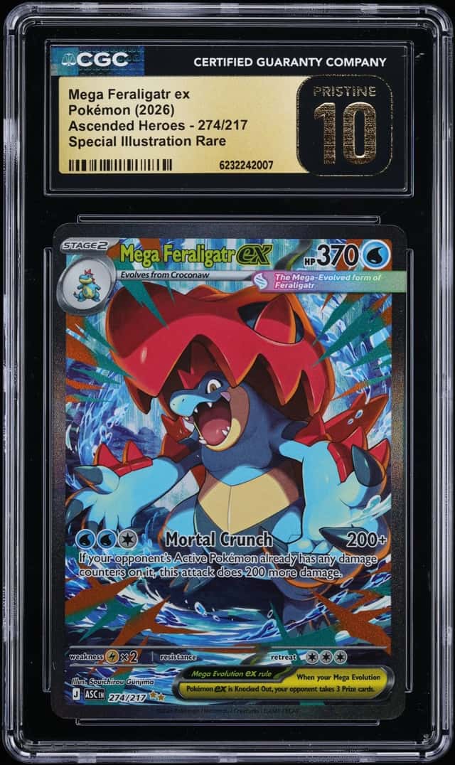 MEGA FERALIGATR ex