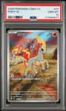 Ponyta