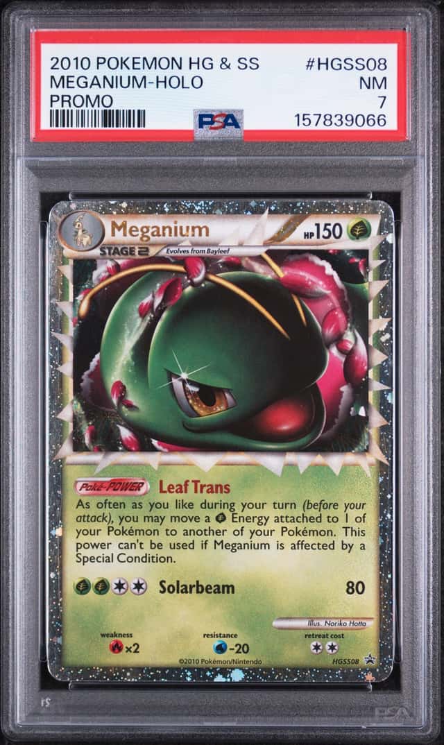 Meganium