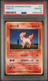 Ponyta
