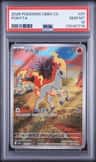 Ponyta