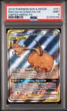 Raichu & Alolan Raichu Gx