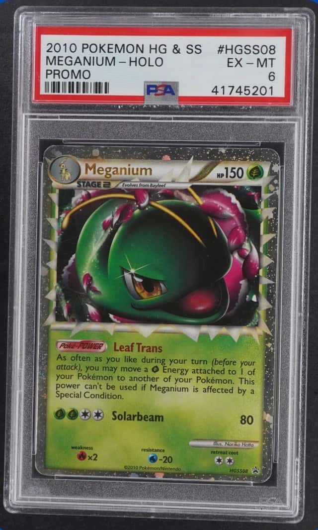 2010 POKEMON HGSS BLACK STAR PROMO #HGSS08 MEGANIUM PRIME PSA 6