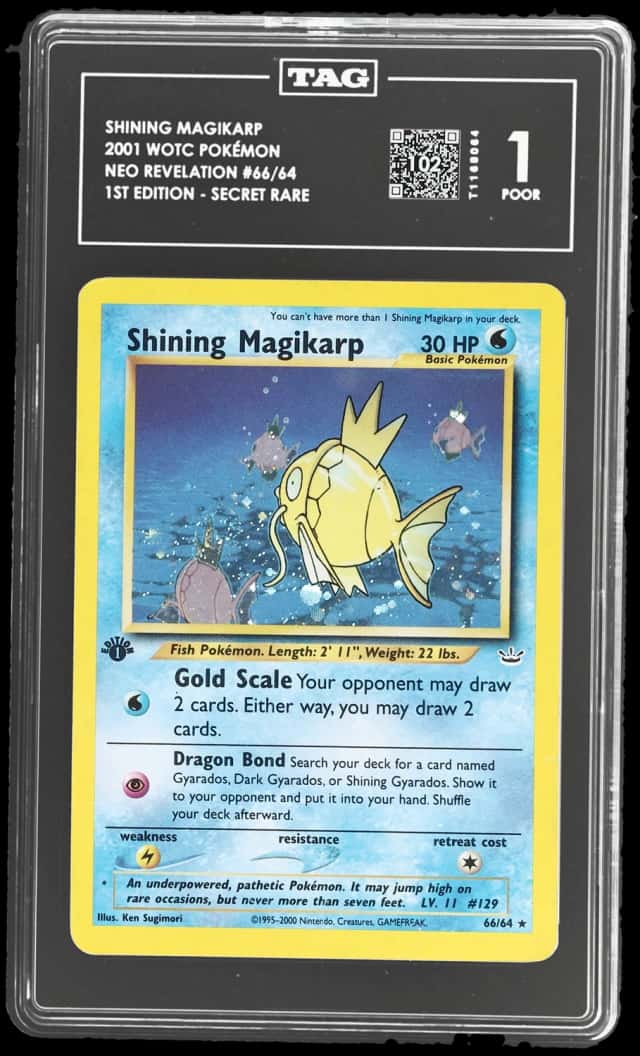 2001 Pokemon Neo Revelation 1st Edition Shining Magikarp #66