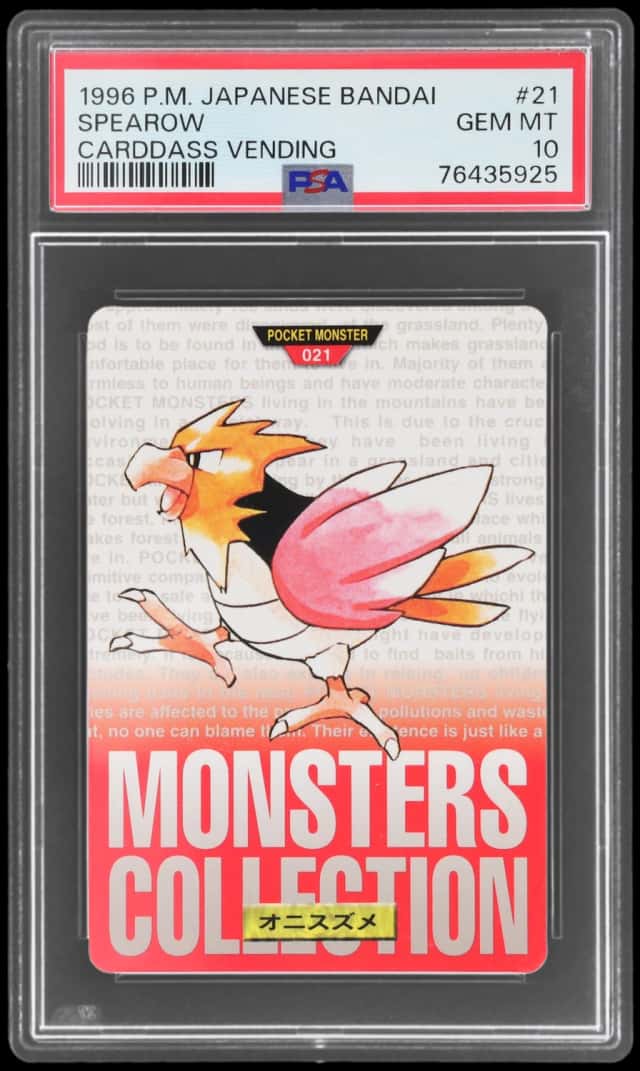 Spearow