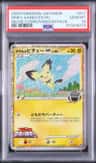 Spiky-Eared Pichu