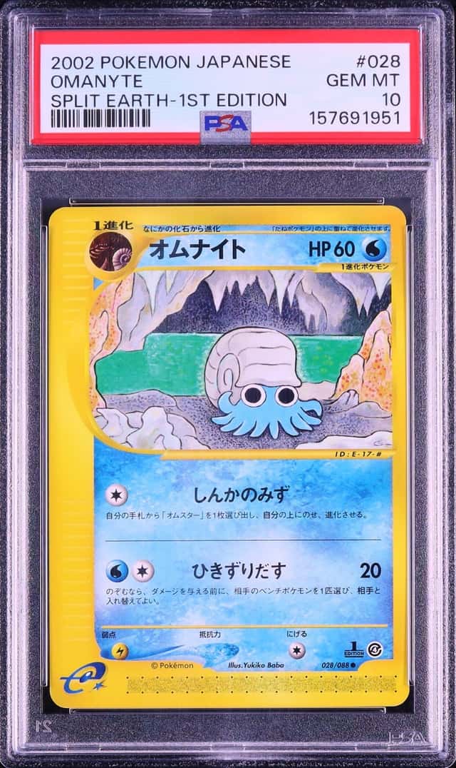 Omanyte