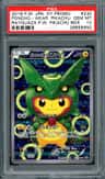 Poncho-Wearing Pikachu