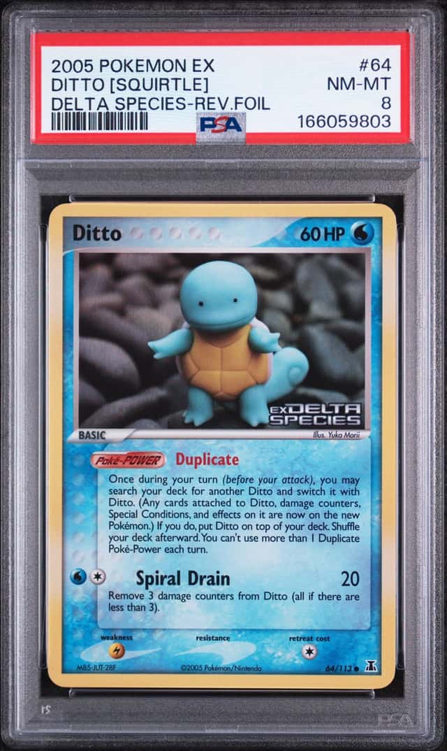 Ditto [Squirtle]