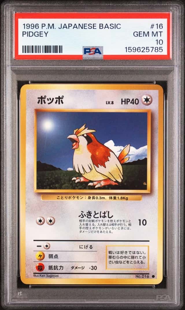 Pidgey