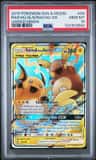 Raichu & Alolan Raichu Gx