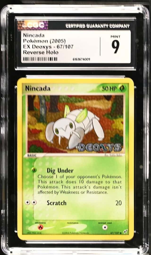 Nincada