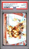 Pyroar Break