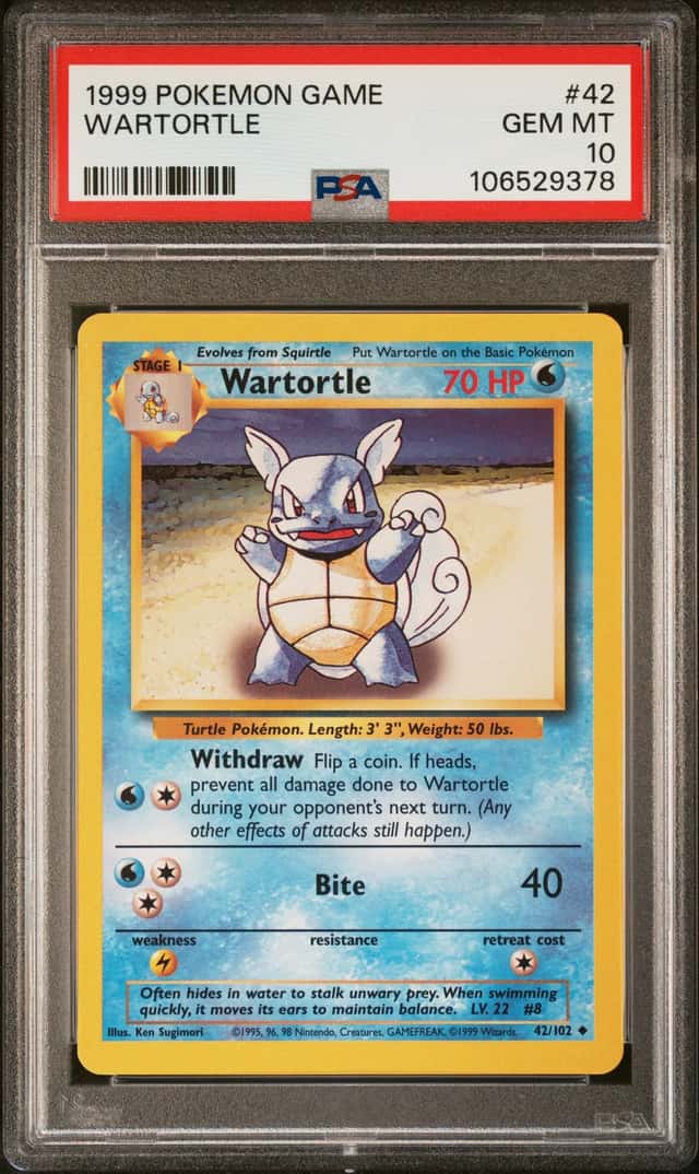 Wartortle
