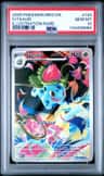 Ivysaur