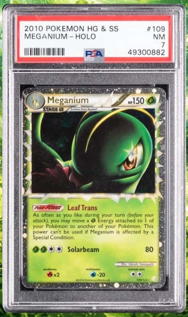 Meganium