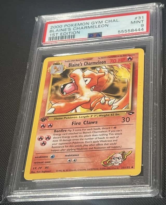 Blaine's Charmeleon