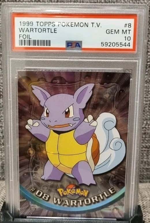 Wartortle