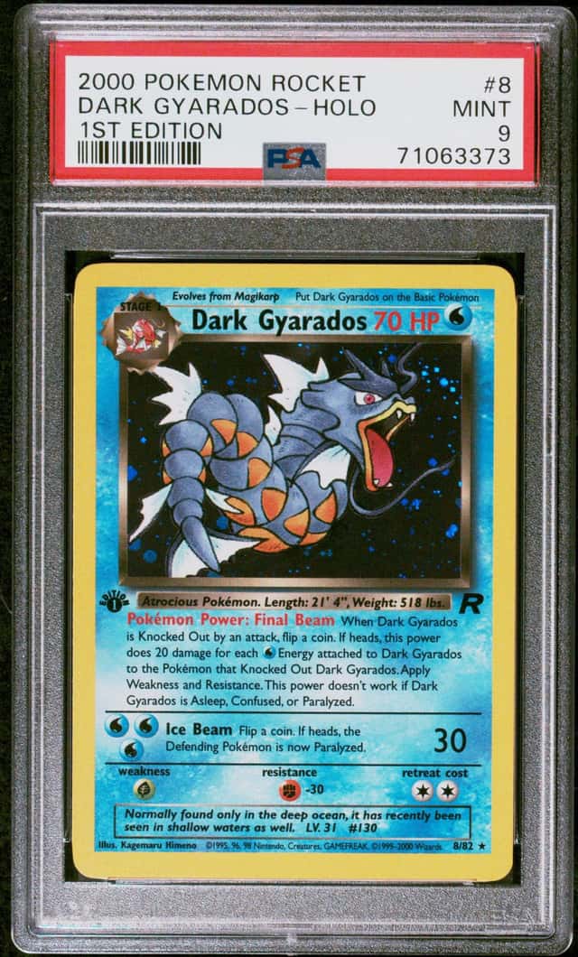 Dark Gyarados
