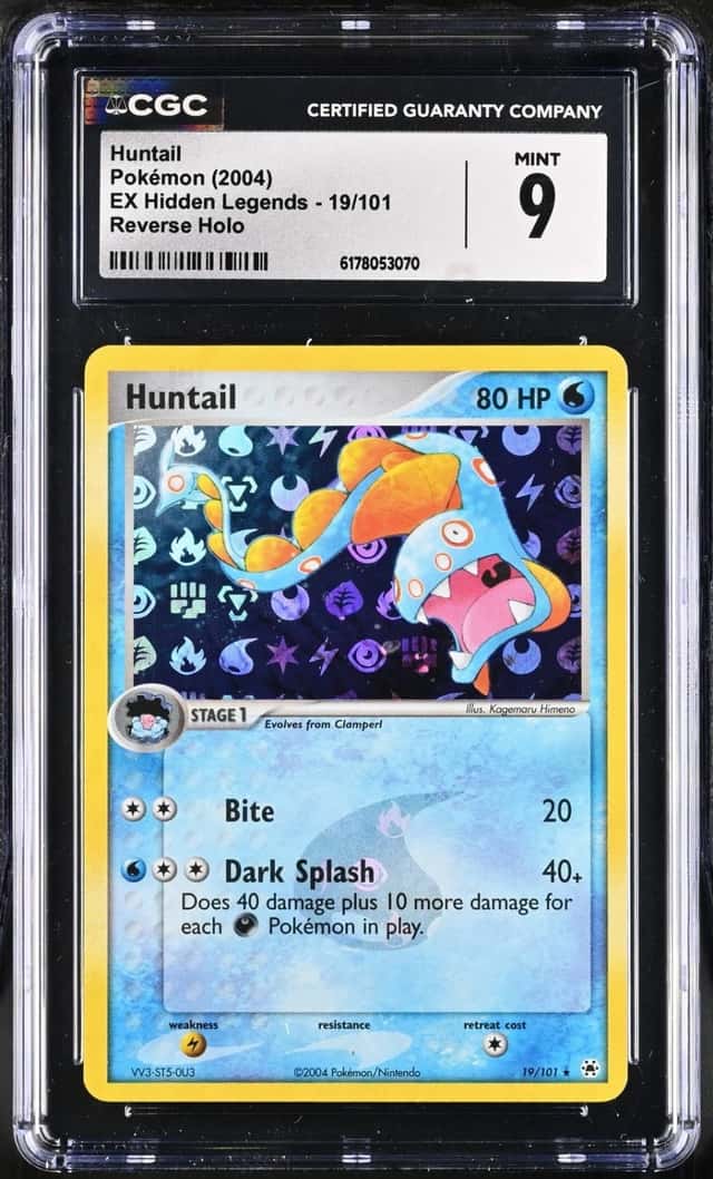 Huntail