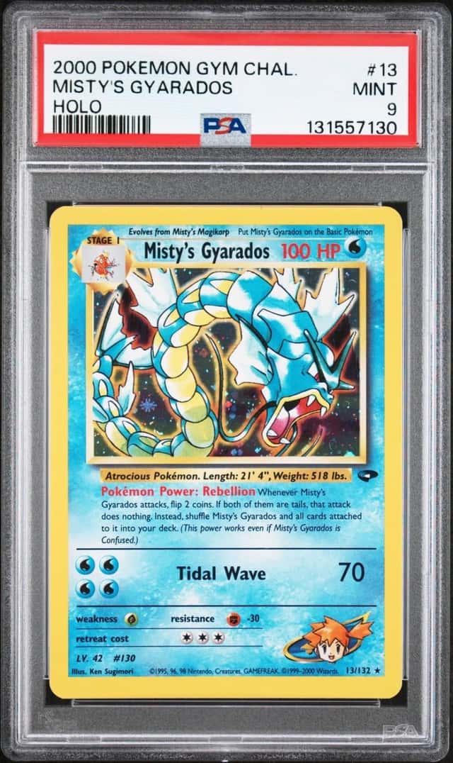 Misty's Gyarados