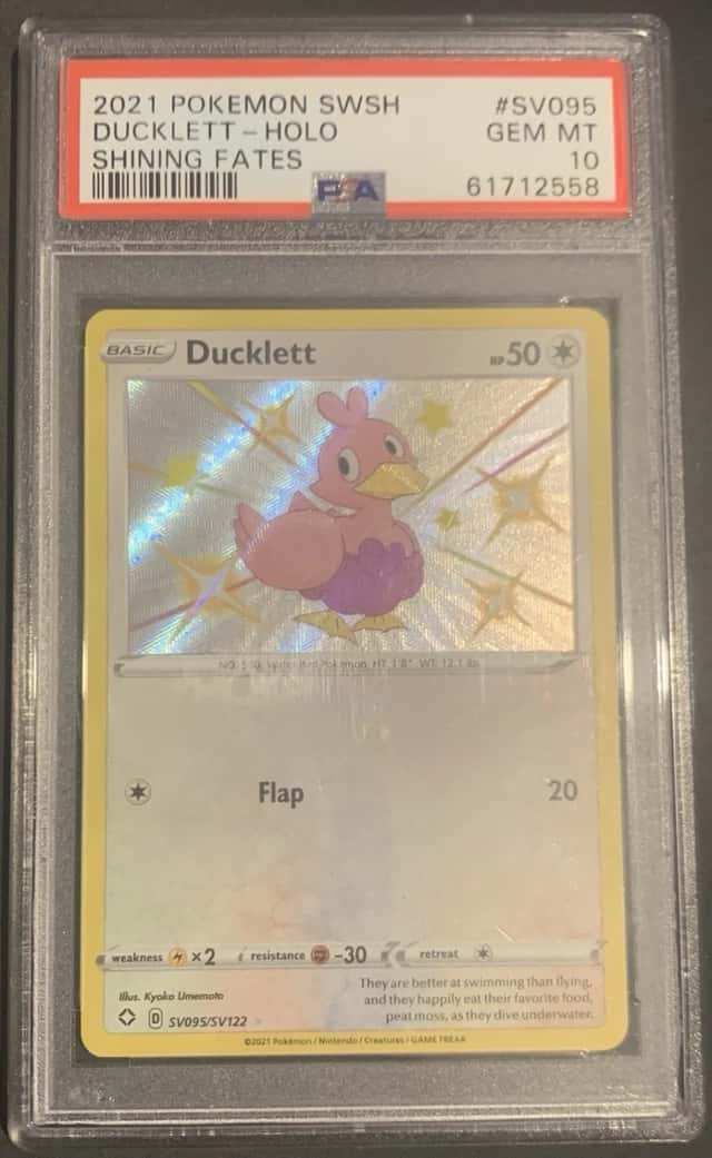 Ducklett