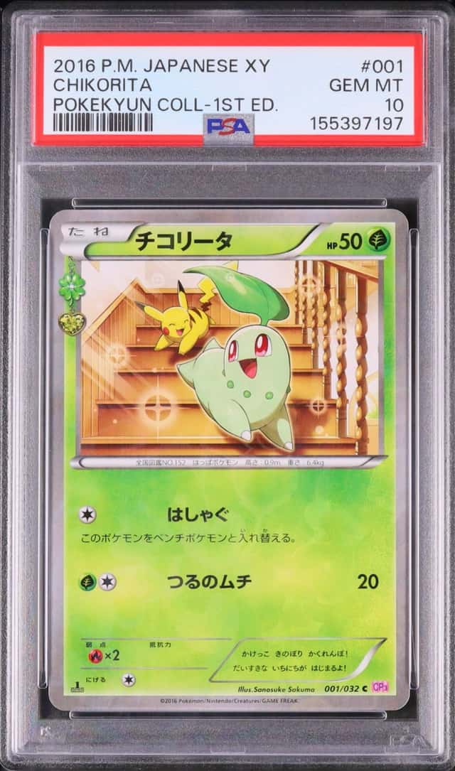 Chikorita