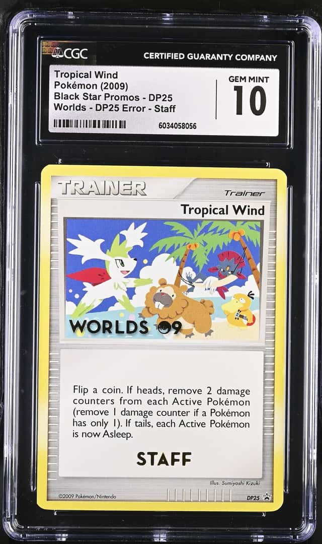 Tropical Wind