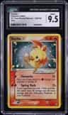 Torchic