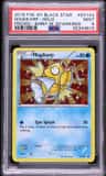 Magikarp
