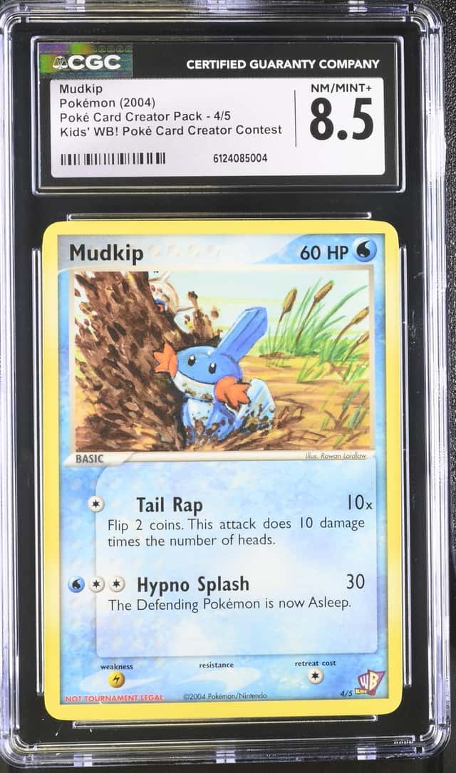 Mudkip