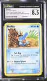 Mudkip