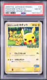 Pokepark'S Pikachu