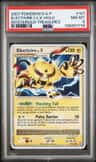Electivire Lv X