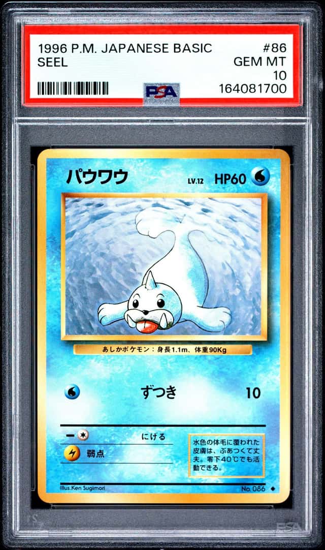 Seel