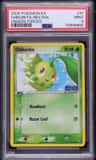 Chikorita
