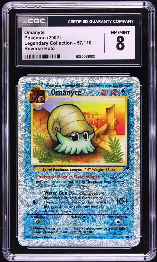 Omanyte