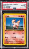 Ponyta