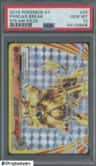 Pyroar Break