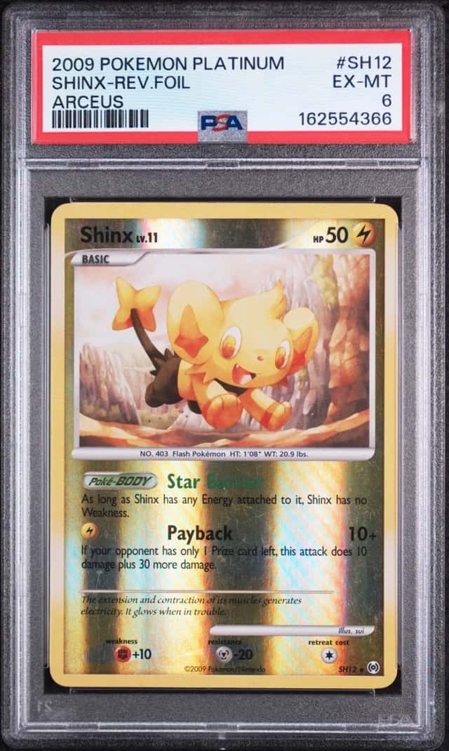 Shinx