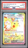 Pikachu Ex