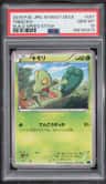 Treecko