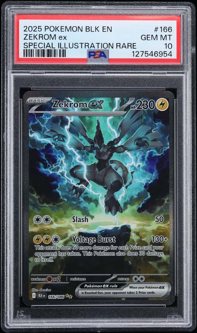 ZEKROM ex