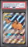 Raichu/raichu De Alola Gx