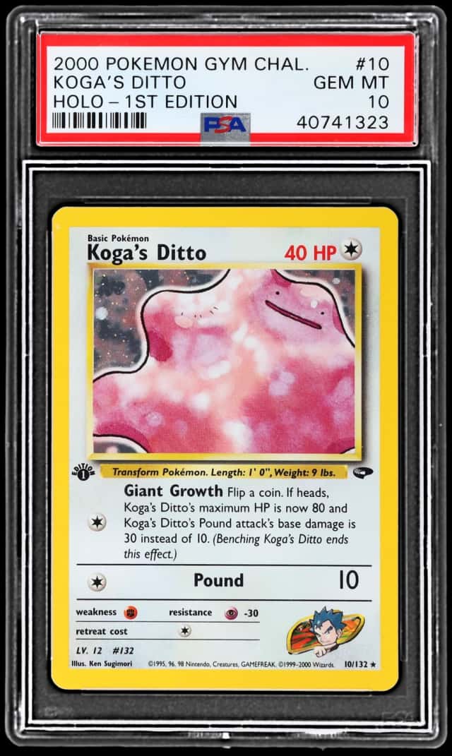 Koga's Ditto